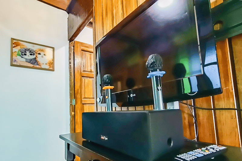 Luxury Kampung House